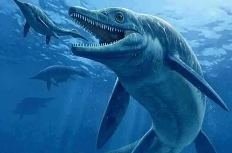 Thalattoarchon Saurophagis