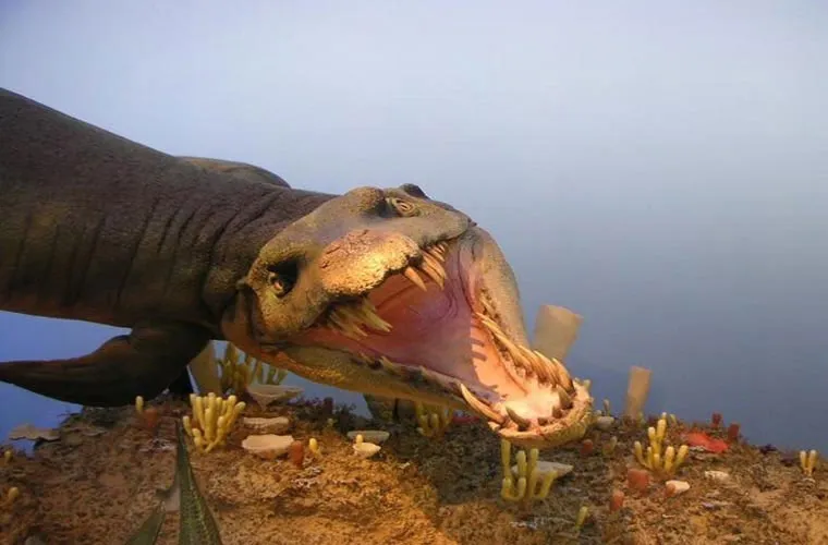 Dakosaurus