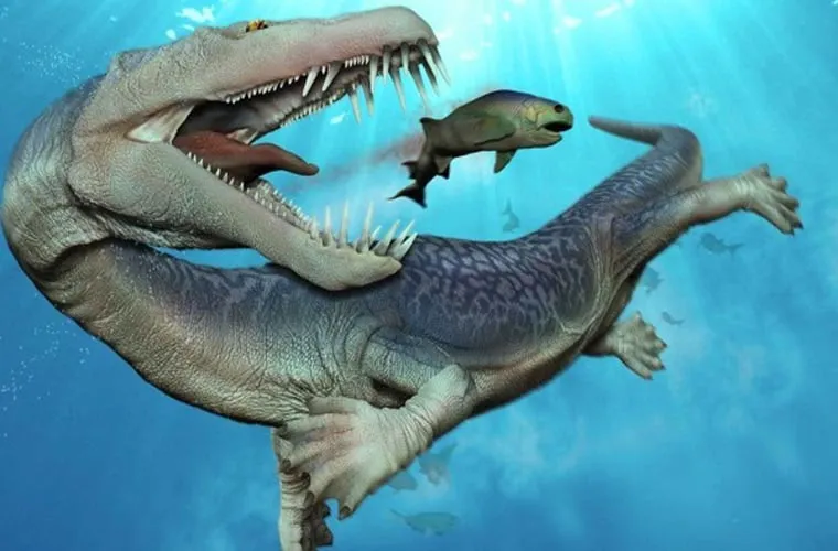 Nothosaurus