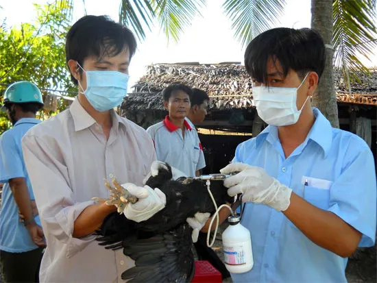Qua phần mềm, người dân còn được tìm hiểu cách phòng chống dịch bệnh.