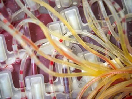 Đã có nhiều cuộc thử nghiệm vắc xin HIV