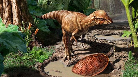 Khủng long Acrotholus Audeti