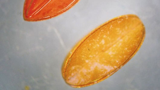 Các nhà khoa học tại Viện Khoa học ETH Zurich đã nghiên cứu phát triển một loại robot siêu nhỏ có thể tiêm vào mắt để đo lượng oxy mà võng mạc nhận được