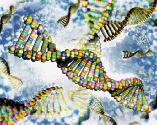 Mô hình gene người.