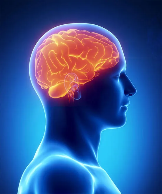 Não người hoạt động như một chiếc đồng hồ