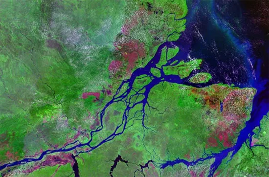 Sông Amazon
