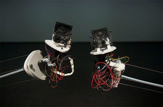 Cặp tình nhân robot