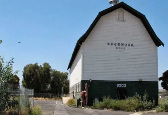 UFO xuất hiện ở bên trái, phía trên các cây trong bức ảnh mà bà Ellen Henry chụp ở nông trại Edgemoor Barn hôm 7/5.