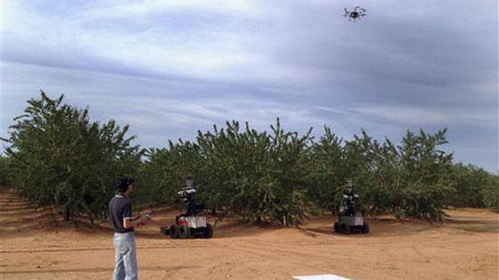 Robot hái táo của Úc