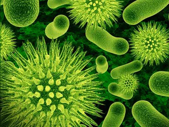 Siêu vi khuẩn bệnh lậu kháng thuốc kháng sinh không thể so sánh với căn bệnh thế kỷ AIDS.