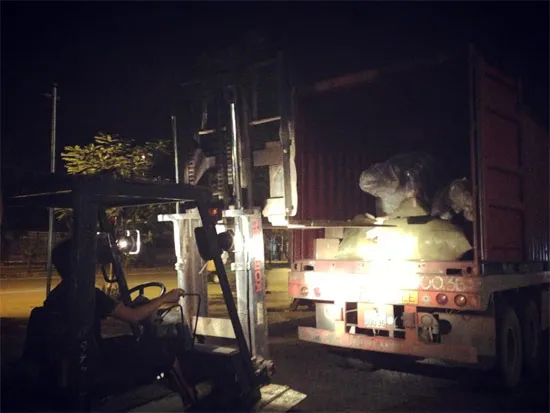 Container bí mật chở những chú khủng long được bọc kín vào thủ đô Hà Nội