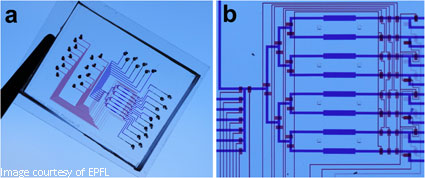 Chip Spedoc có thể phát hiện ung thư sớm thông qua tìm kiếm các protein Hsp70 ( Protein sốc nhiệt)