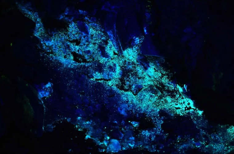 Andersonite