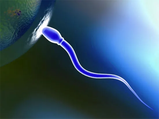 Gene của tinh trùng đàn ông có thể bị thay đổi do tình trạng stress