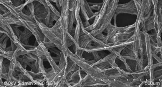 Pin từ gỗ và natri