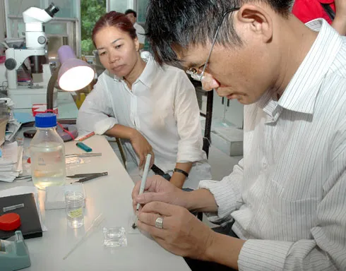 PGS.TS Trương Xuân Lam đang nghiên cứu bọ xít hút máu.