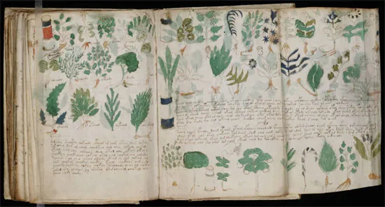 Sách Voynich
