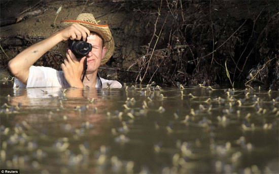 Nhiều du khách không ngại ướt quần áo, ngâm mình trong nước sông Tisza để chụp ảnh phù du vào mùa sinh sản.