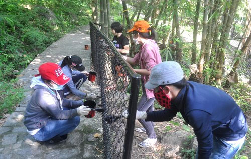 Sinh viên sơn chuồng cho loài rùa núi vàng tại Khu Cứu hộ động vật hoang dã Hòn Me.