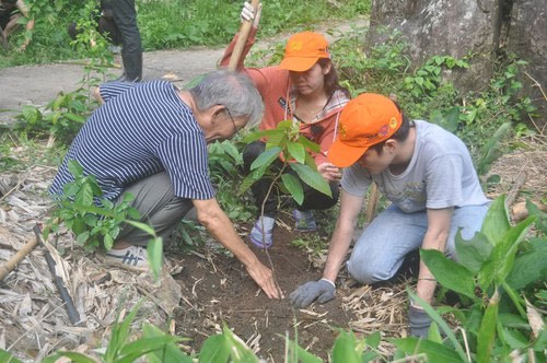 Trồng cây rừng trong Khu Cứu hộ động vật hoang dã Hòn Me.
