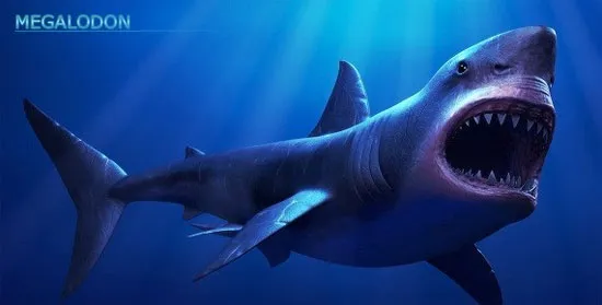 Cá mập cổ đại Megalodon