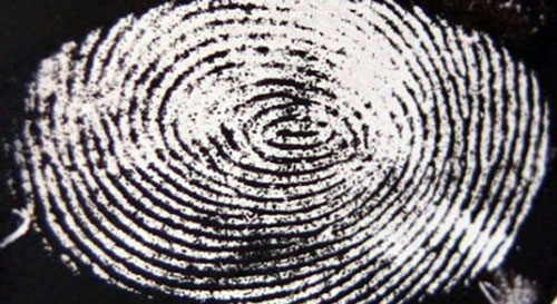 Dấu vân tay
