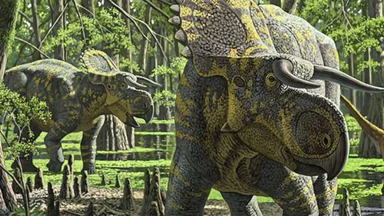 Hình ảnh mô phỏng loài khủng long Nasutoceratops