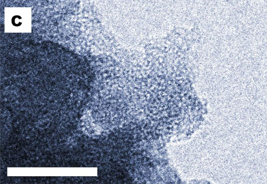 Vật liệu hấp thụ nước siêu việt