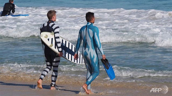 Hai bộ đồ đặc biệt chống cá mập.