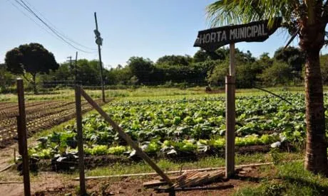 Cây lương thực trong vườn Itaguaí, Brazil