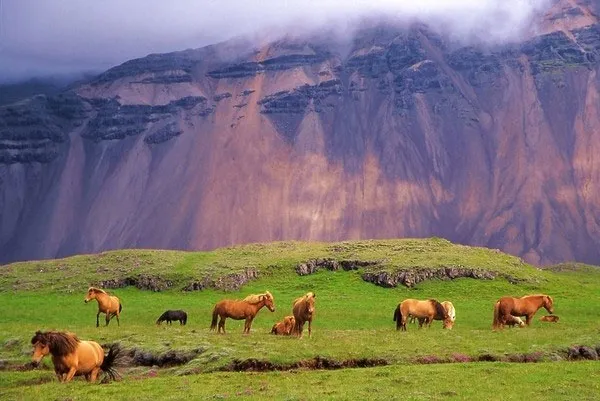 Borgarnes, Iceland