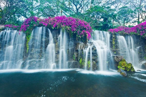 Maui, Hawaii (thuộc Mỹ)