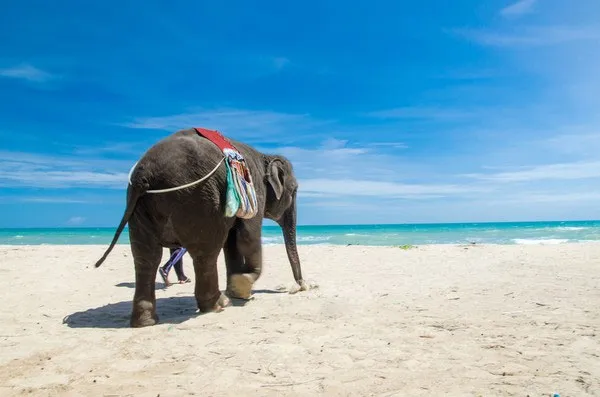Phuket, Thái Lan