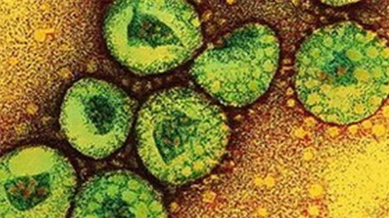 Virus corona