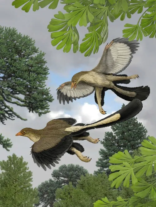 Khủng long bay Archaeopteryx, tổ tiên của loài chim ngày nay
