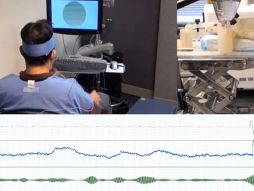 Hệ thống thí nghiệm truyền tải ý nghĩ từ người để điều khiển đuôi chuột.