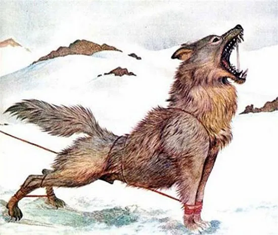 Quái vật Gevaudan, độc ác đến man rợ được lưu truyền từ nhiều đời nay