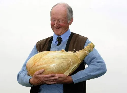 Ông Pete Glazebrook ở miền Bắc nước Anh hạnh phúc ôm củ hành nặng 8,1kg trong tay.