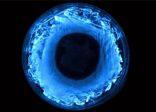 Bóng điện sinh học được nhóm của Zaiken phát triển.