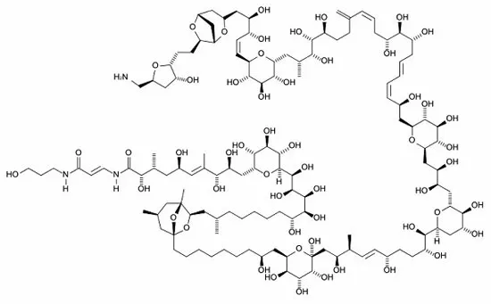 Công thức hóa học vô cùng phức tạp của Palytoxin