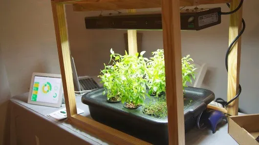 Làm vườn với điện toán đám mây
