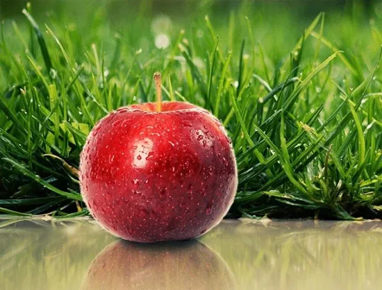 Táo có khả năng giúp con người không bị dị ứng