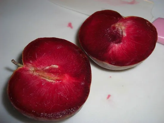 Quả lai mận-mơ (Pluot)