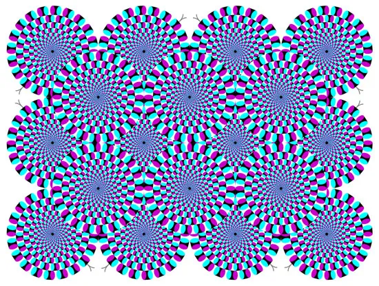 Ảo giác rắn xoay tròn (Rotating Snake)