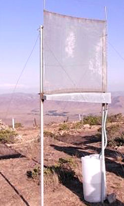 Tấm lưới tạo nước từ sương mù