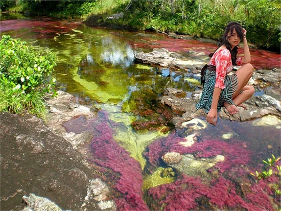 Vẻ đẹp của dòng sông Cona Cristales