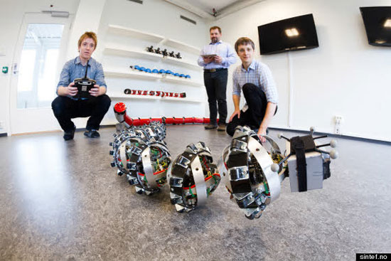 Robot rắn được cho là có thể len lỏi trên các dạng bề mặt địa hình phức tạp của sao Hỏa