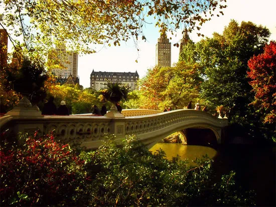 Cưỡi ngựa hoặc đi xe ngựa kéo là trải nghiệm thú vị để ngắm nhìn và lắng nghe những âm thanh của công viên trung tâm.