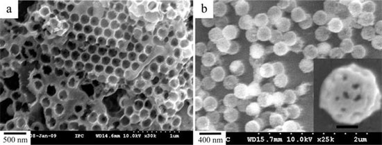 Cấu trúc nano có hình dạng như trái mâm xôi