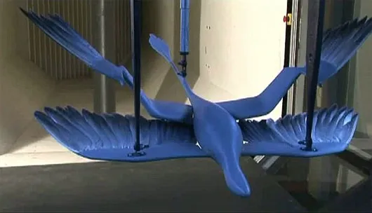 Microraptor – mô hình khủng long bay